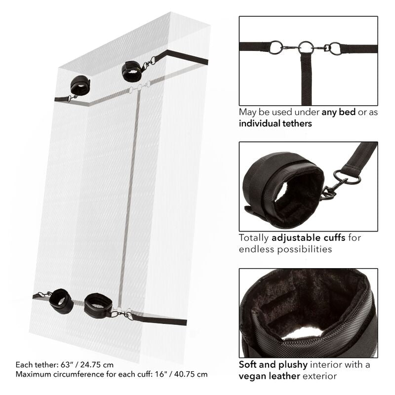 Sistema di Ritenuta Boundless - CALEXOTICS