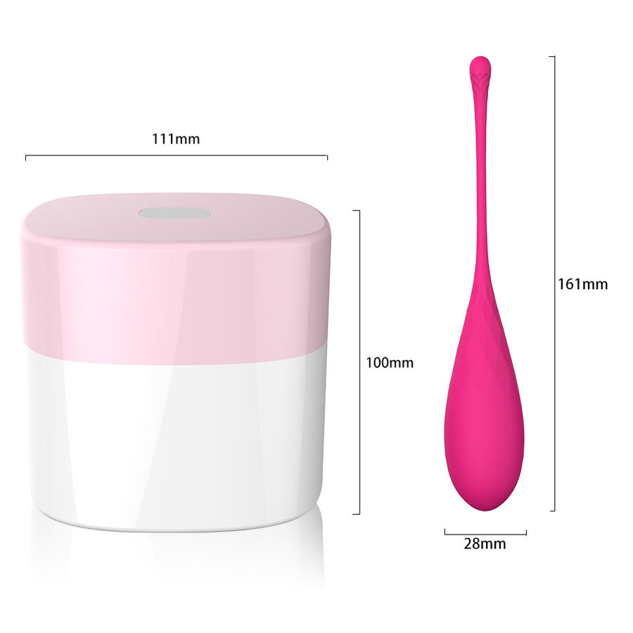 Allenamento Pelvico con LESLIE: Il Set di Pesi Completo